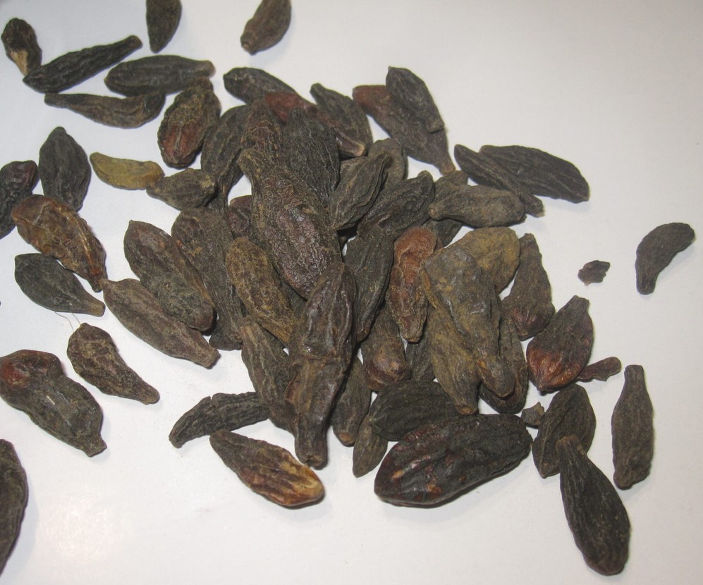 پوست هلیله زرد (۵۰گرم)